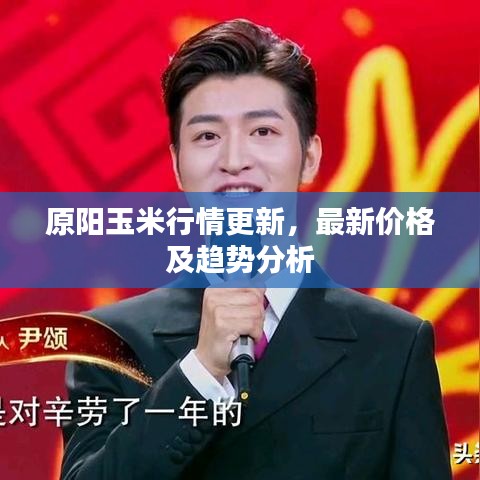 原阳玉米行情更新，最新价格及趋势分析