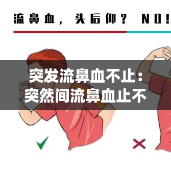 斫琱为朴 第2页