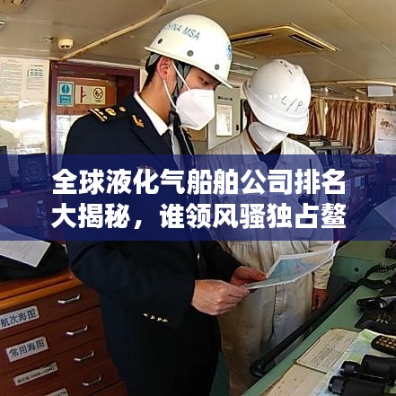 全球液化气船舶公司排名大揭秘，谁领风骚独占鳌头？