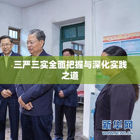 三严三实全面把握与深化实践之道