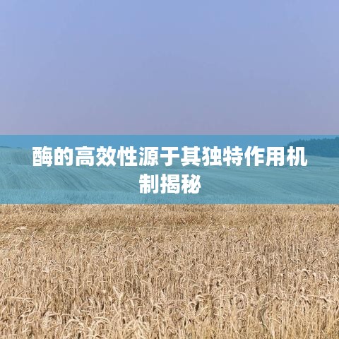 瑞雪纷飞 第3页