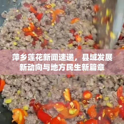 萍乡莲花新闻速递，县域发展新动向与地方民生新篇章