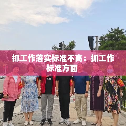 抓工作落实标准不高：抓工作标准方面 