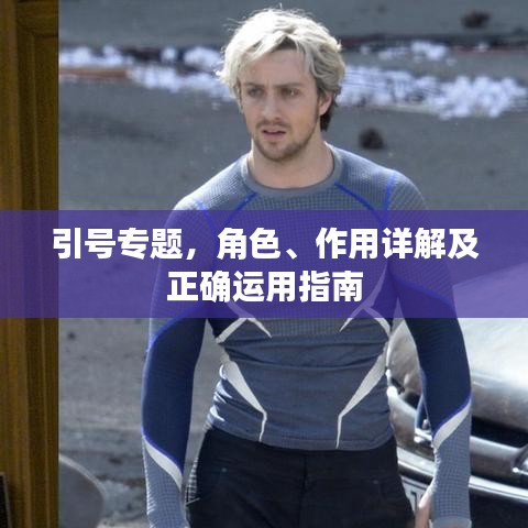 引号专题，角色、作用详解及正确运用指南