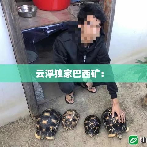 云浮独家巴西矿： 