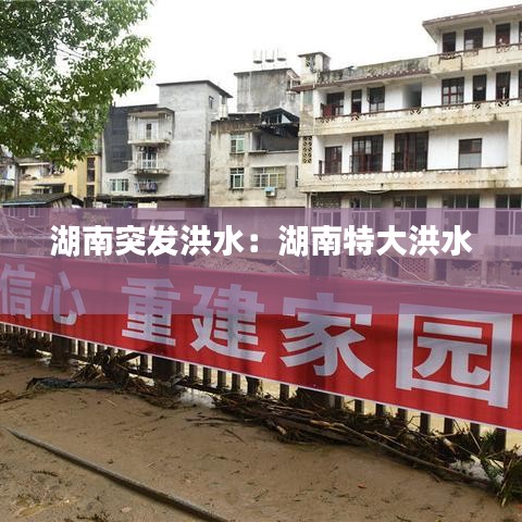 湖南突发洪水：湖南特大洪水 