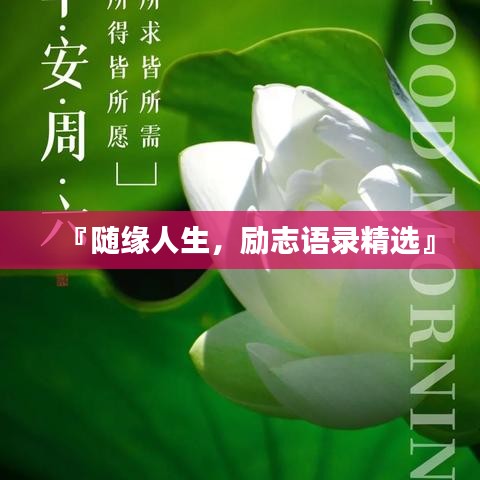 『随缘人生，励志语录精选』