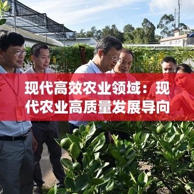 现代高效农业领域：现代农业高质量发展导向是什么 