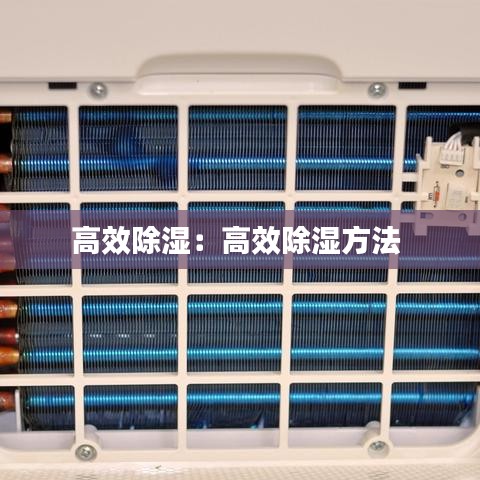 高效除湿：高效除湿方法 