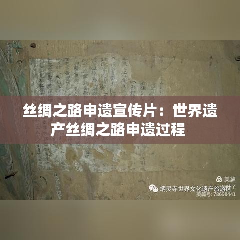 丝绸之路申遗宣传片：世界遗产丝绸之路申遗过程 