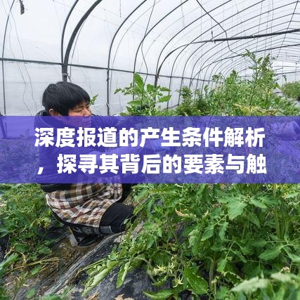 深度报道的产生条件解析，探寻其背后的要素与触发点