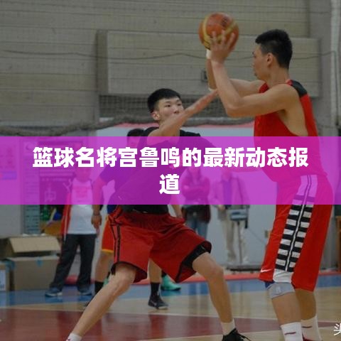 篮球名将宫鲁鸣的最新动态报道