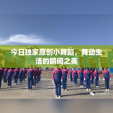 今日独家原创小舞蹈，舞动生活的瞬间之美
