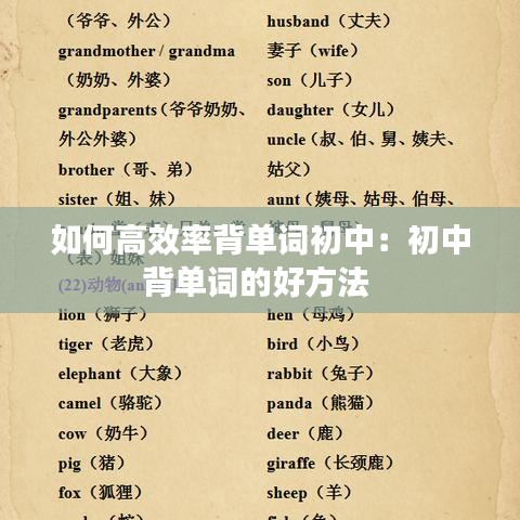 如何高效率背单词初中：初中背单词的好方法 