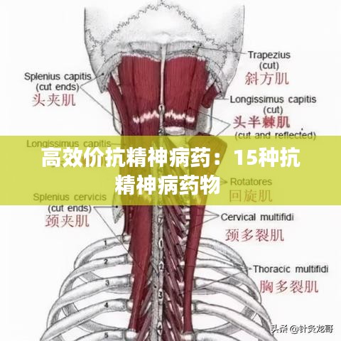 高效价抗精神病药：15种抗精神病药物 