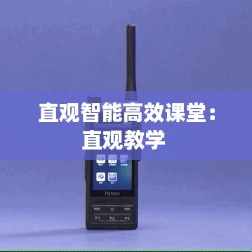 直观智能高效课堂：直观教学 