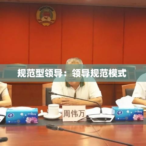 规范型领导：领导规范模式 
