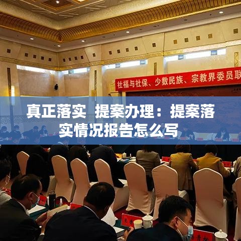 真正落实  提案办理：提案落实情况报告怎么写 