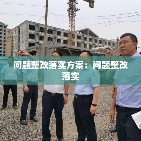问题整改落实方案：问题整改 落实 