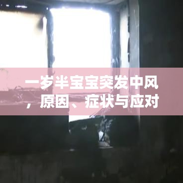 一岁半宝宝突发中风，原因、症状与应对措施探讨