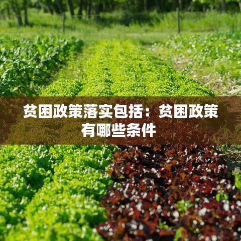 贫困政策落实包括：贫困政策有哪些条件 