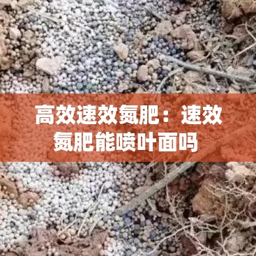 高效速效氮肥：速效氮肥能喷叶面吗 