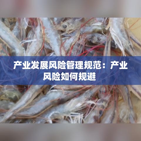 产业发展风险管理规范：产业风险如何规避 