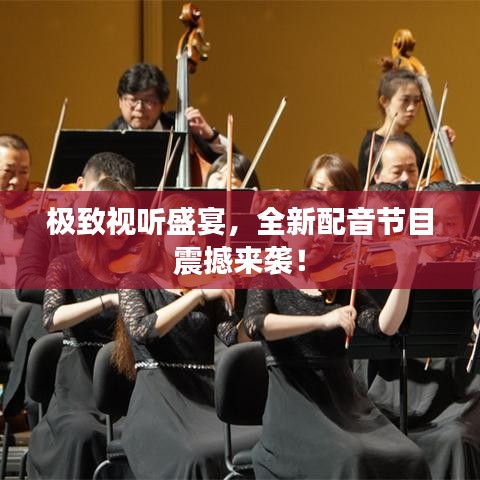 极致视听盛宴，全新配音节目震撼来袭！