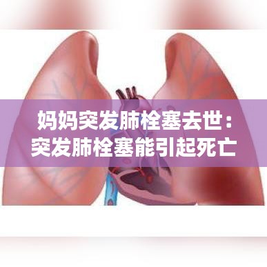 窗明几净 第2页