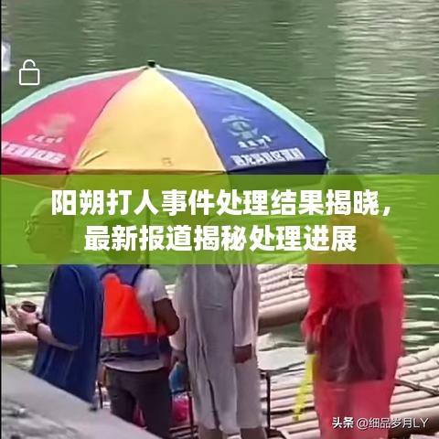 阳朔打人事件处理结果揭晓，最新报道揭秘处理进展