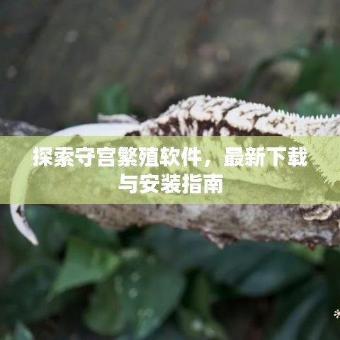 探索守宫繁殖软件，最新下载与安装指南