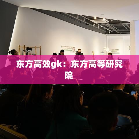 东方高效gk：东方高等研究院 