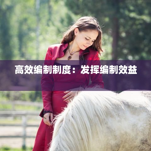 高效编制制度：发挥编制效益 