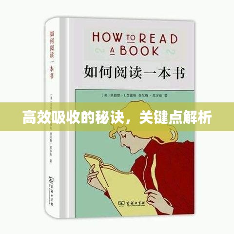 南辕北辙 第2页