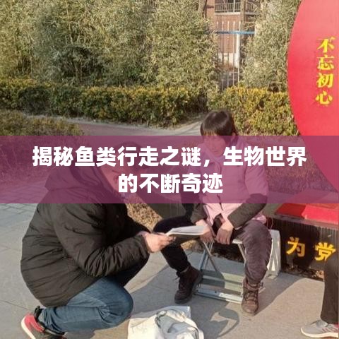 揭秘鱼类行走之谜，生物世界的不断奇迹
