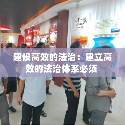 建设高效的法治：建立高效的法治体系必须 
