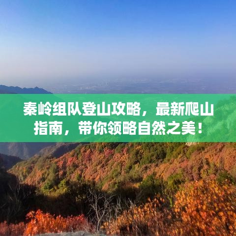 秦岭组队登山攻略，最新爬山指南，带你领略自然之美！