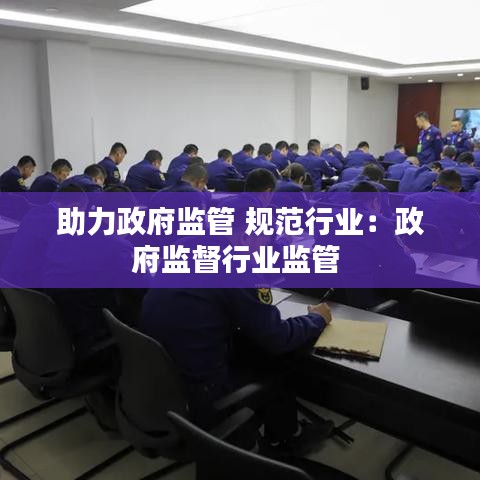 助力政府监管 规范行业：政府监督行业监管 