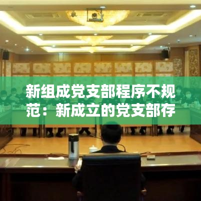 新组成党支部程序不规范：新成立的党支部存在的不足 