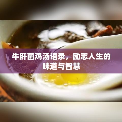 牛肝菌鸡汤语录，励志人生的味道与智慧