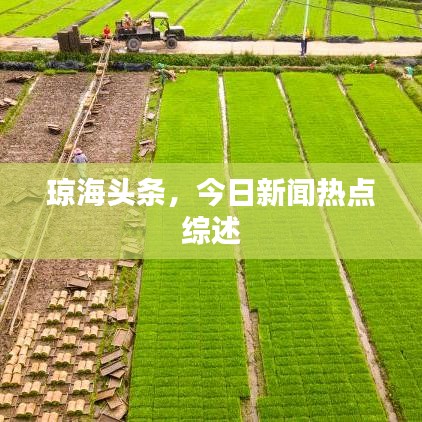 琼海头条，今日新闻热点综述