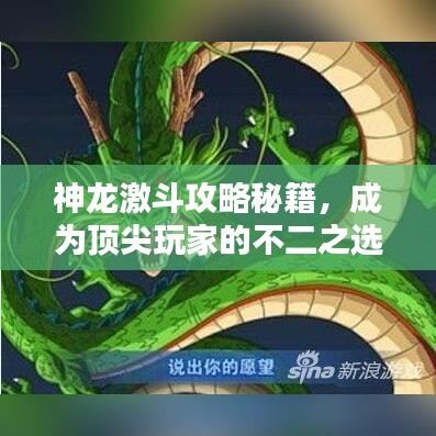 神龙激斗攻略秘籍，成为顶尖玩家的不二之选！