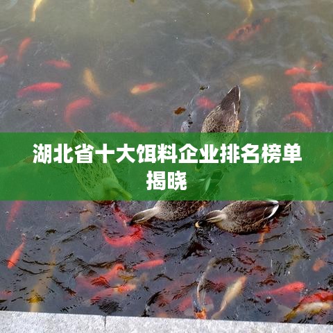 湖北省十大饵料企业排名榜单揭晓