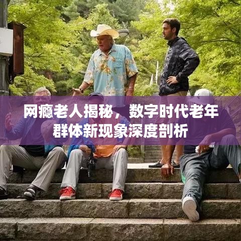网瘾老人揭秘，数字时代老年群体新现象深度剖析