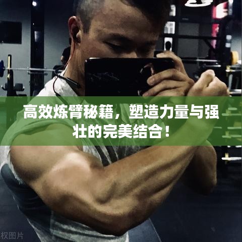 采椽不斫 第2页