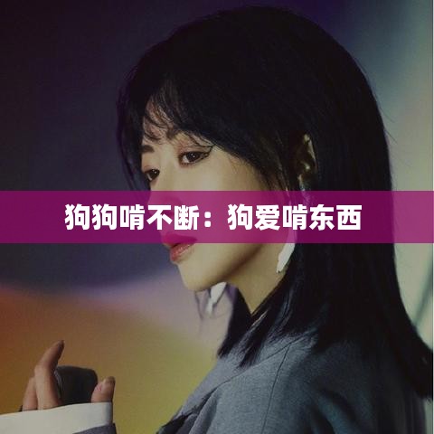 狗狗啃不断：狗爱啃东西 
