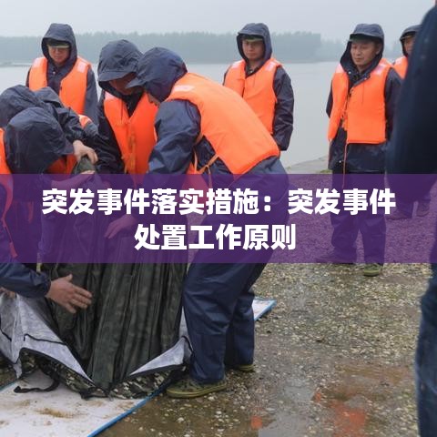 突发事件落实措施：突发事件处置工作原则 