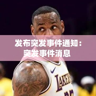 发布突发事件通知：突发事件消息 