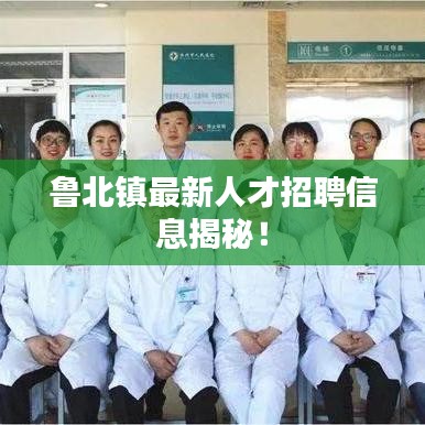 鲁北镇最新人才招聘信息揭秘！