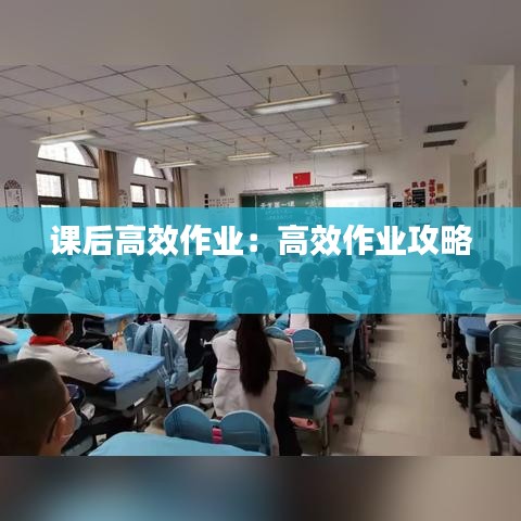 课后高效作业：高效作业攻略 